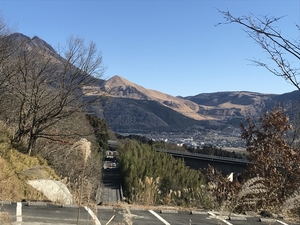 「お正月旅行からドタバタな日々」の画像