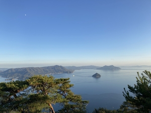 「新年のご挨拶」の画像