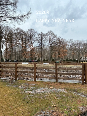 「あけましておめでとうございます！！」の画像