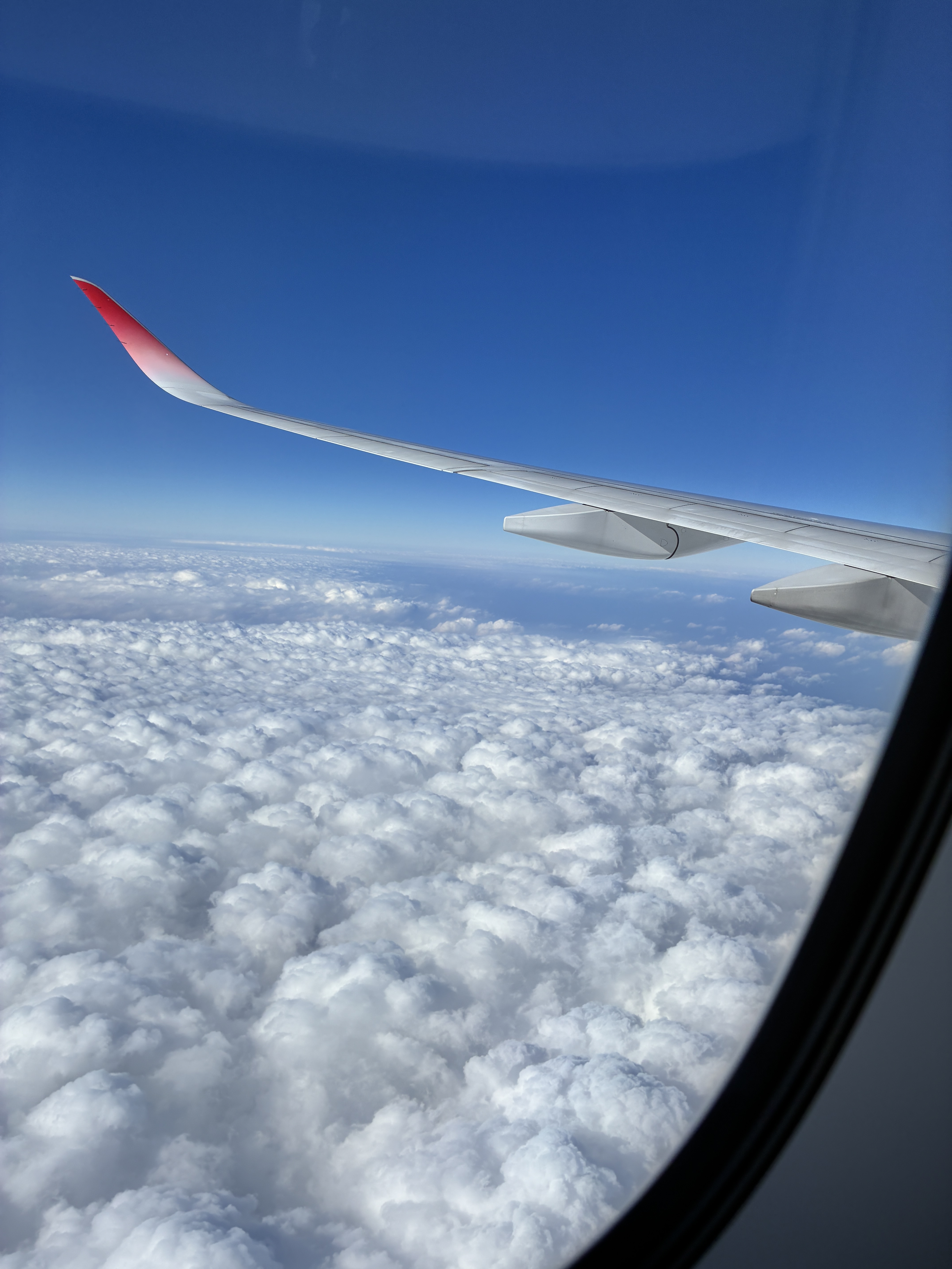 「ようやく決断できた時のスッキリ感！！！」の画像